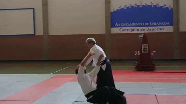 Gyakuhanmikatatedori Iriminage basico смотреть онлайн