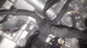 Где находится номер двигателя GW4C20 HAVAL F7