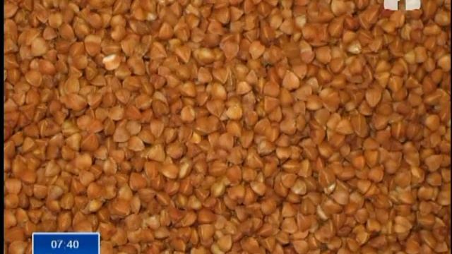 Замана: Выбираем гречку смотреть онлайн