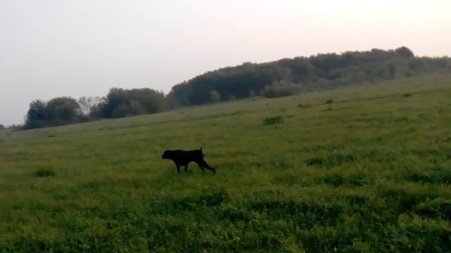 Охота на дупеля 2016 смотреть онлайн