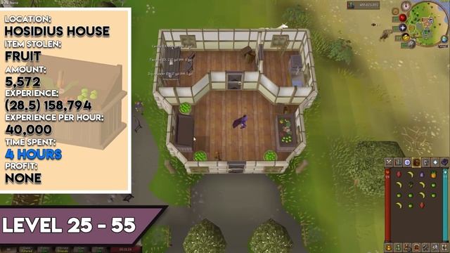 The Lazy Players Guide to 99 Thieving смотреть онлайн
