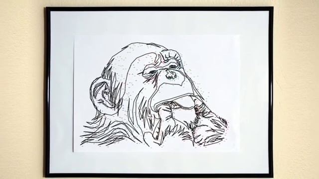 Томас Павитт. Рисуем животных по точкам смотреть онлайн