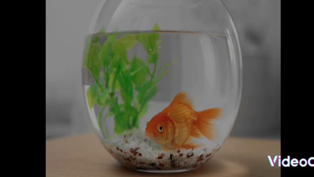 "ВОДА - ДРУГ" Розвиток зв'язного мовлення смотреть онлайн