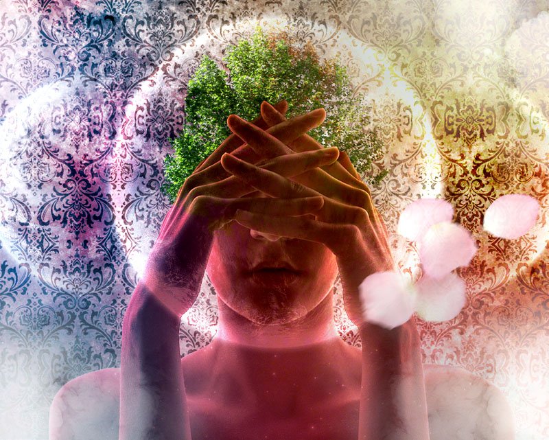 11.2. Структура сознания.mp4 смотреть онлайн