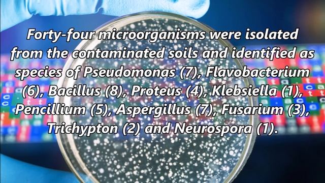 Biotreatment of Crude Oil Contaminated Soil смотреть онлайн