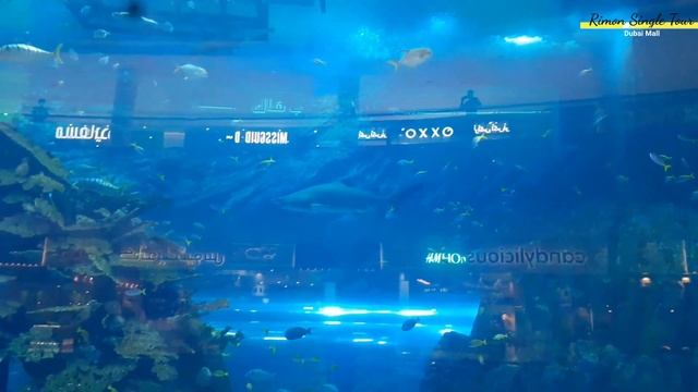Dubai Mall Aquarium | Dubai Mall World 's largest Shopping Mall 2021 смотреть онлайн