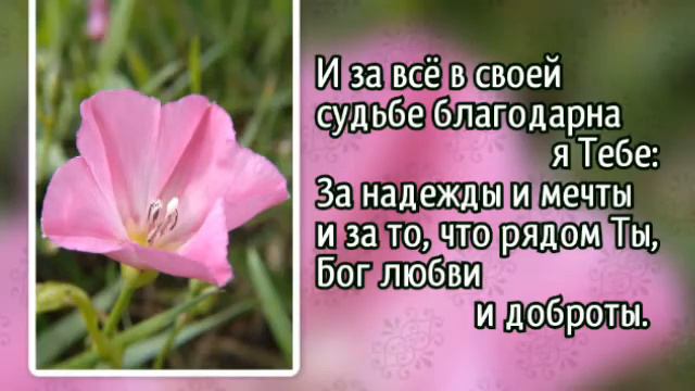 Нашей жизни суета (+)