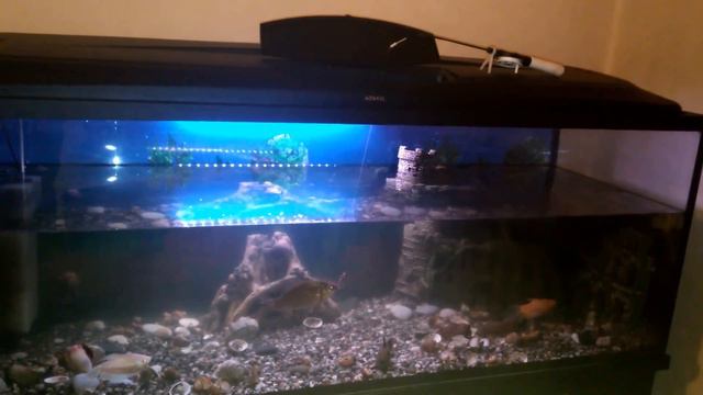 Удочка для зимней рыбалки смотреть онлайн