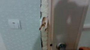 Поклеили обои и поставили двери