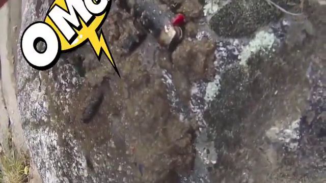 🔴Оболдеть айфоны на дне реки чудо смотреть онлайн