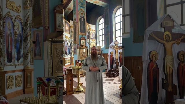 Сильны духовные корни и плоды дают сильные . смотреть онлайн