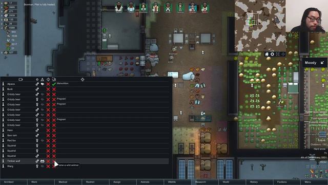 Rimworld Beta 18 Random Colonists Episode 66 смотреть онлайн