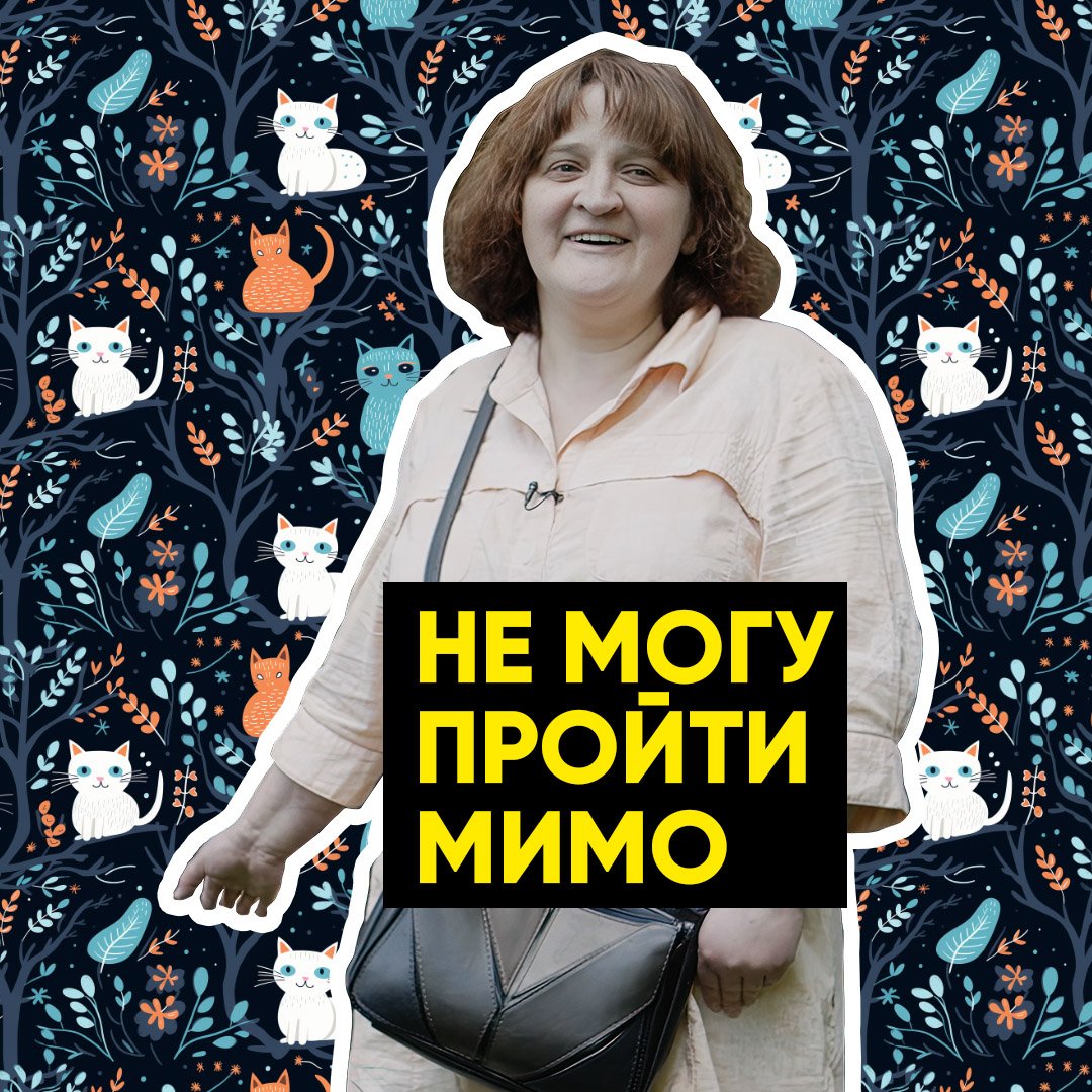 «Не могу пройти мимо!» | История котиков и их Юли смотреть онлайн