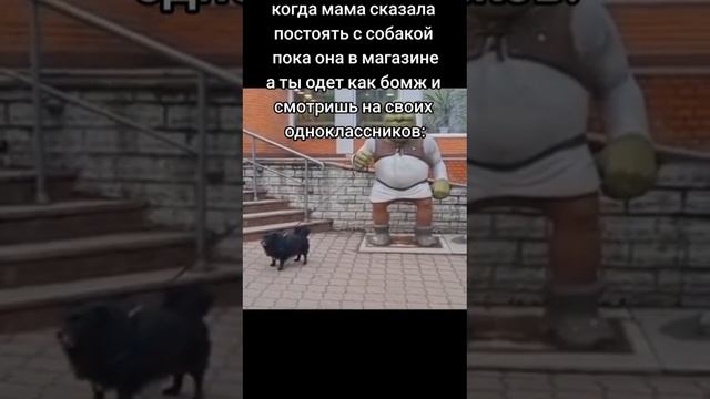 Когда мама сказала постоять с Собачкой пока она сходит в магазин смотреть онлайн