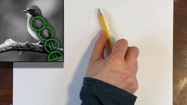 DRAW what you SEE, not what you THINK you see | Shape Drawing Tutorial | Learn to Draw TODAY смотреть онлайн