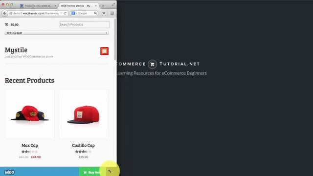 Installing a WooCommerce Theme - eCommerce for Beginners Series смотреть онлайн