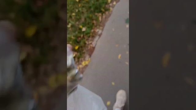 Ермолинские полуфабрикаты едят ,а мои супы нет.