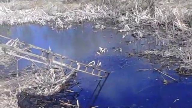 Очумелые ручки или очистка реки от мусора и зарослей смотреть онлайн