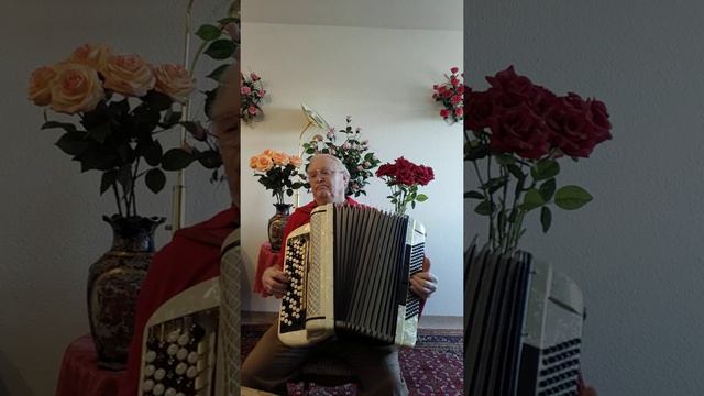Роза белая. смотреть онлайн