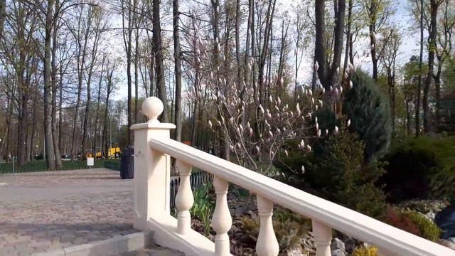 18.04.2023 г. Гуляем в парке Горького. Наблюдаем как цветёт магнолия. смотреть онлайн