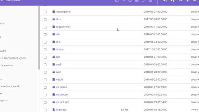 Não Consigo Entrar no Wordpress Resolvido 2022 смотреть онлайн