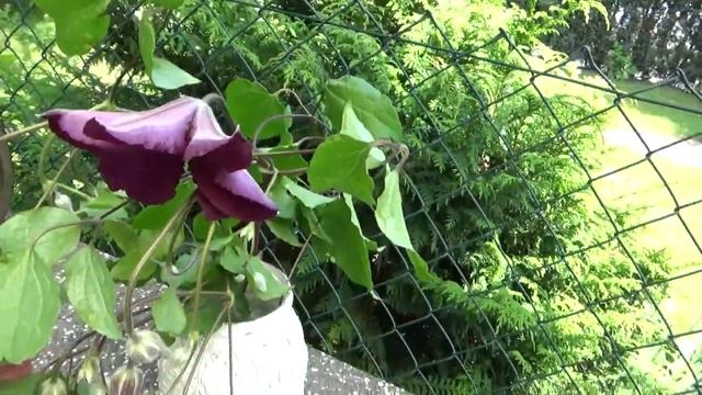 Бирюзовое небо! Красиво! ? смотреть онлайн