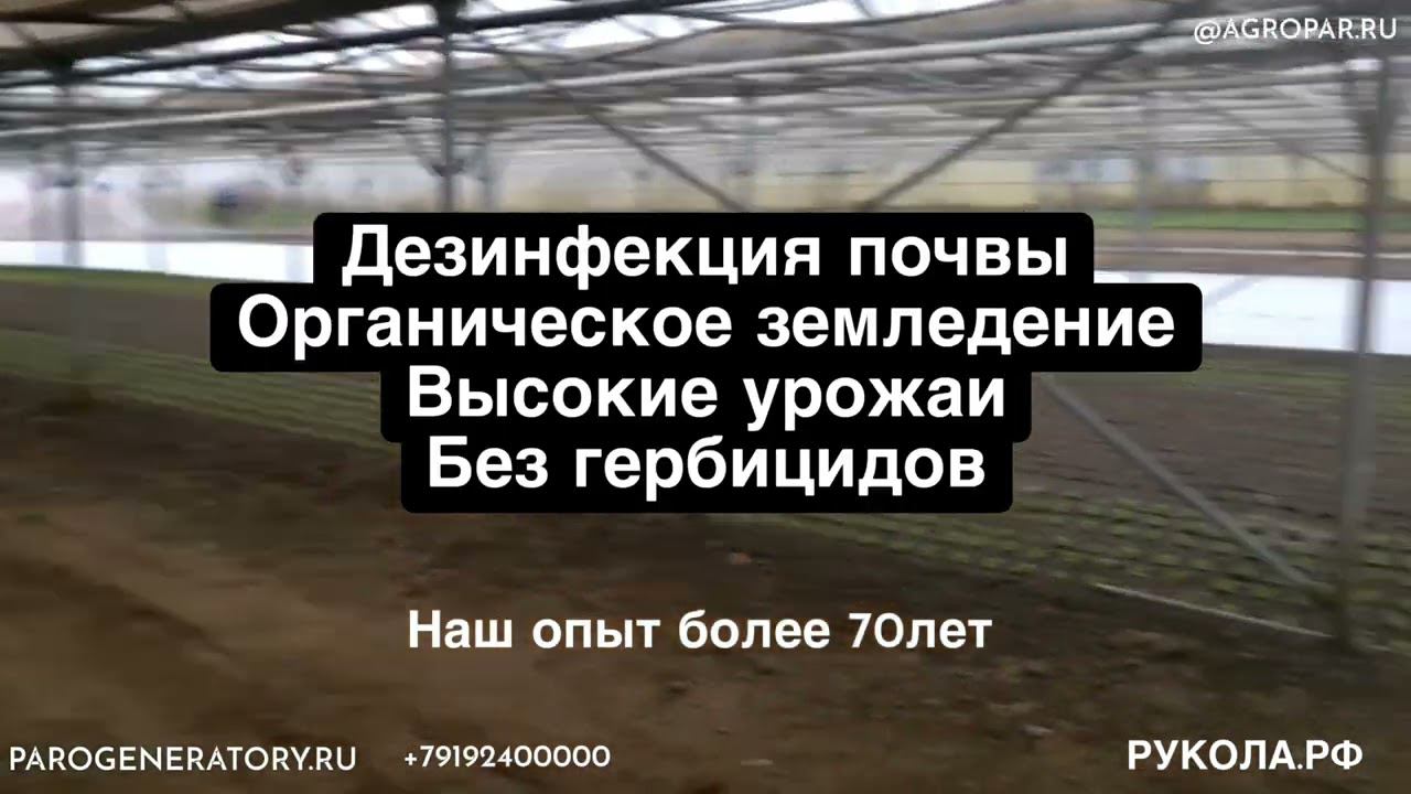 Рукола без гербицидов выращивание зелени Дезинфекция почвы паром Парогенераторы с опытом более 70лет смотреть онлайн
