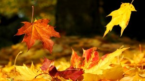 Валерий Ободзинский - "Листопад"