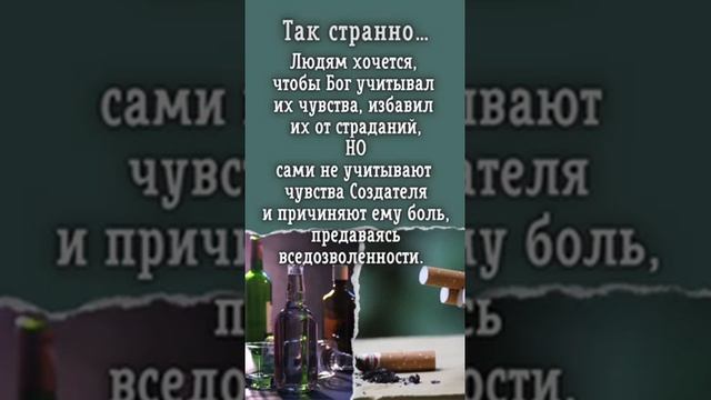 23 октября 2023 г.