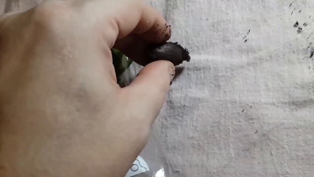 Розпаковка Посылки с семенами с Тайланда(2) смотреть онлайн