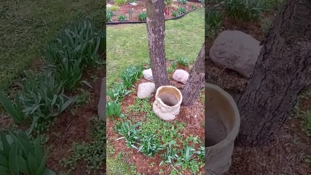 кашпо из шамотной глины для однолетников смотреть онлайн