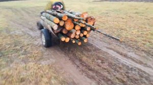 На мотоблоке  за дровами