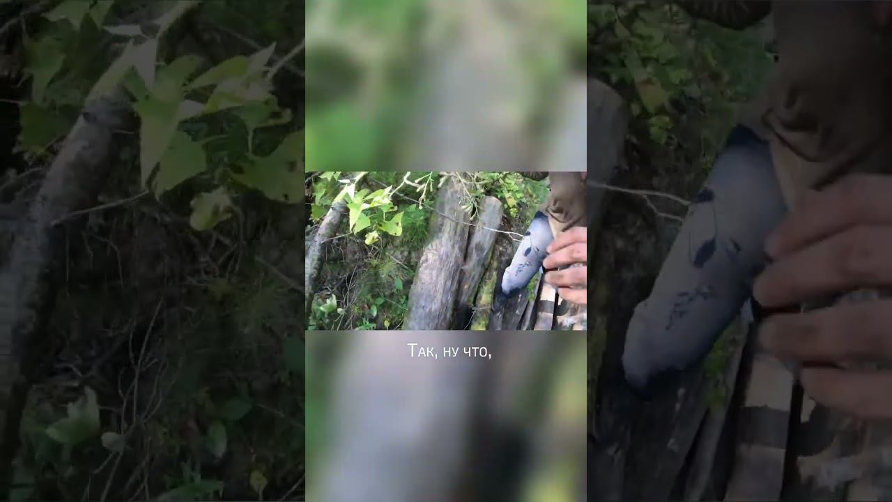 Мы первые по точкам смотреть онлайн