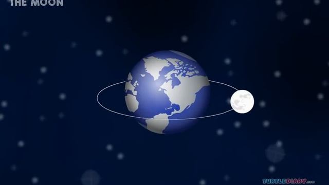 7 Moon Phases Explained! How does the Moon Change? *Science for Kids!* смотреть онлайн