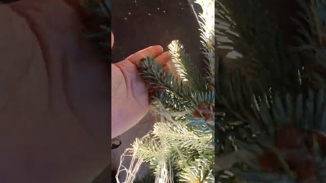 Йога и Фитнес для Беременных