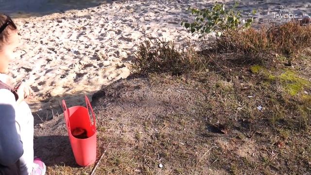 Autumn work in a kindergarten / Осенняя поделка в детский садик DIY Tsvoric смотреть онлайн