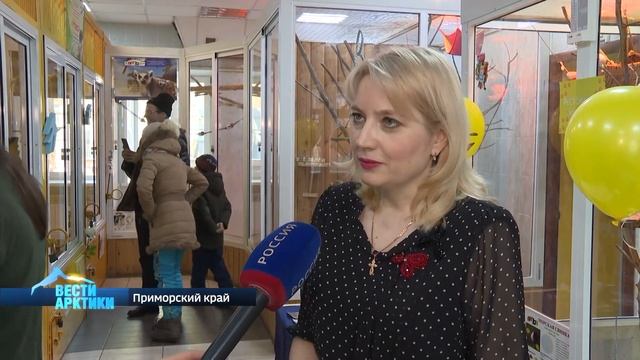 На Дальнем Востоке открылся ресторан для животных смотреть онлайн