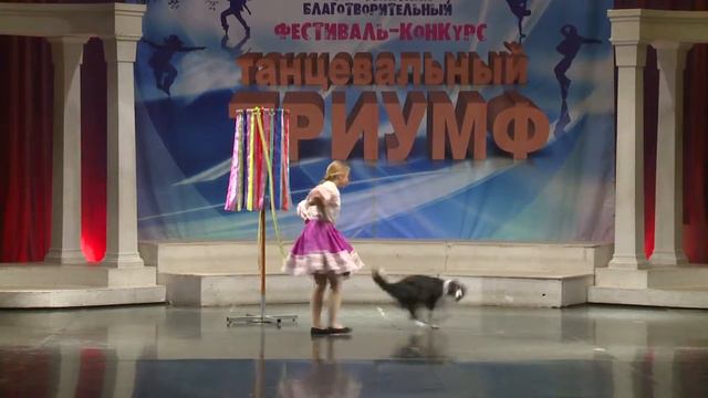 Бордер колли Ёлка и Лада Курочкина смотреть онлайн