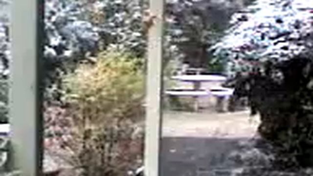 31 años sin ver esto tan lindo... смотреть онлайн