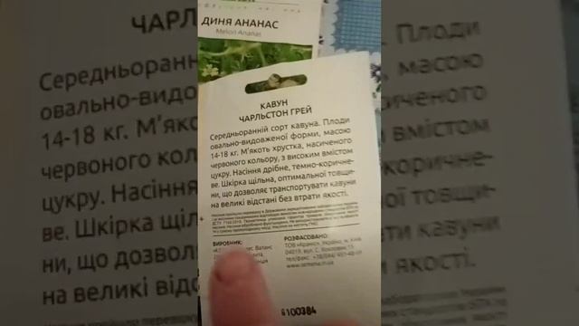 Кавун Чарльстон Грей вагою 18 кг !? Watermelon Charleston Gray weighing 18 kg !? смотреть онлайн