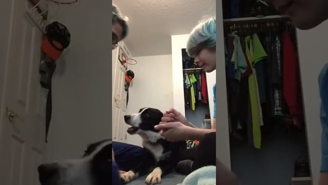 ROCK, PAPER, SCISSORS SHOOT CHALLENGE!! смотреть онлайн