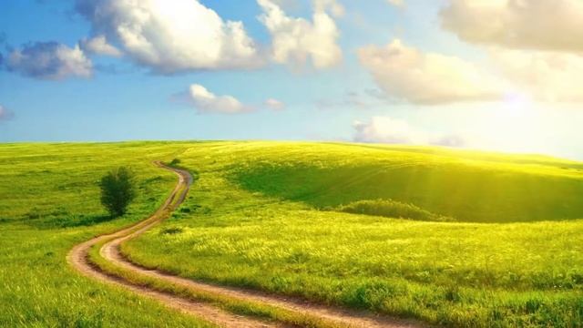 Зеленые луга. HD заставки смотреть онлайн