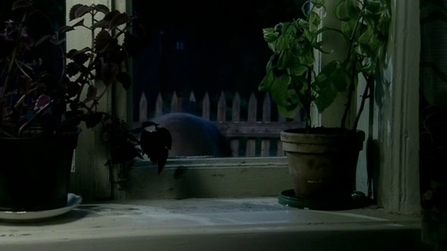 Подсматривающий