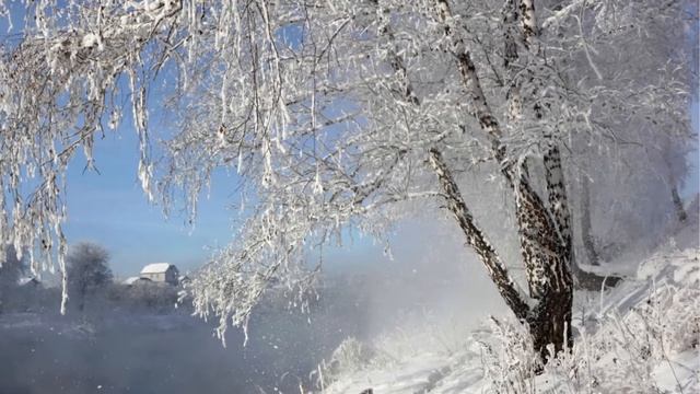 Стихотворение "Берёзка" смотреть онлайн