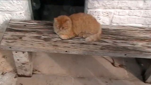 Италия. Апулия. Альберобелло. Puglia. Alberobello смотреть онлайн