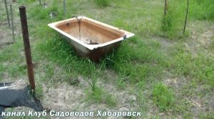 СРЕДСТВА от СОРНЯКОВ . ТЕСТ ПРОТИВ СОРНЯКОВ с РЕЗУЛЬТАТОМ !