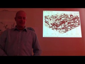 Семинар остеопатия МИОФАСЦИАЛЬНЫЕ ЦЕПИ МФЦ_01