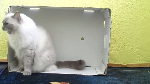 Relax with Lady Jane смотреть онлайн