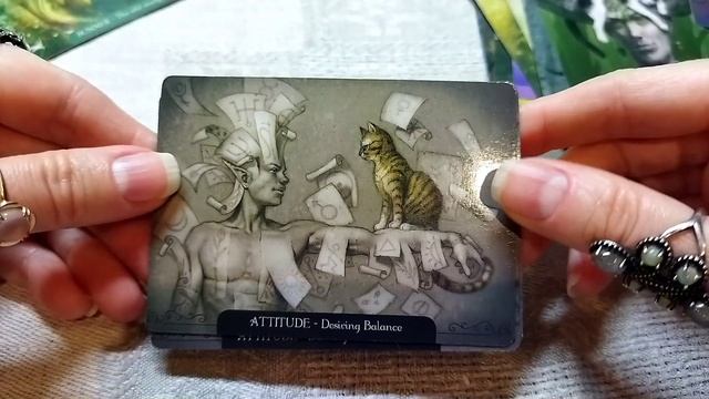 Обзор оракула фантазийных кошек (Fantasy cats oracle Paolo Barbiery) смотреть онлайн