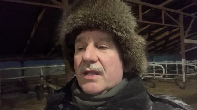 Бычки и перекупы смотреть онлайн